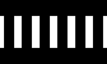 1.13.1.„Zebras“