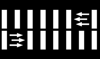 1.13.2. „Zebras“