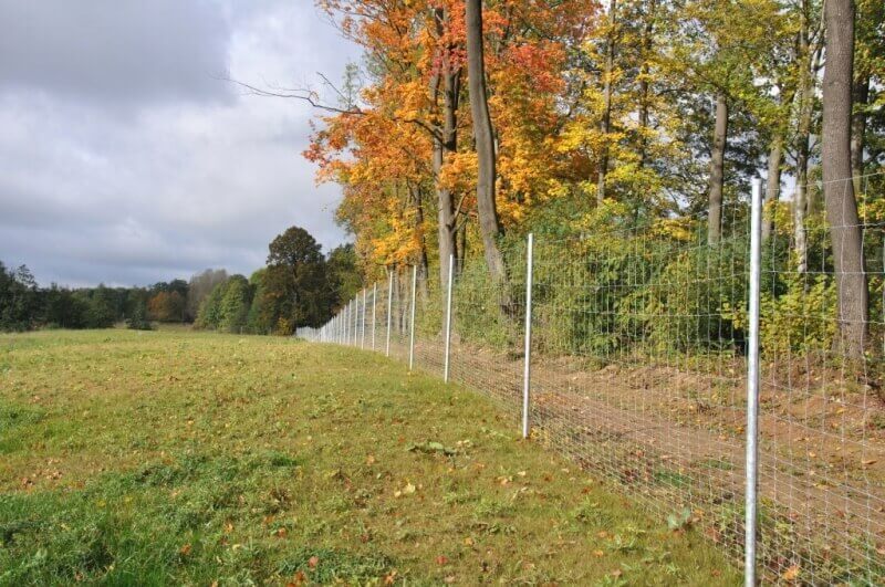 Apsaugai nuo laukinių gyvūnų statomos apsauginės tvoros