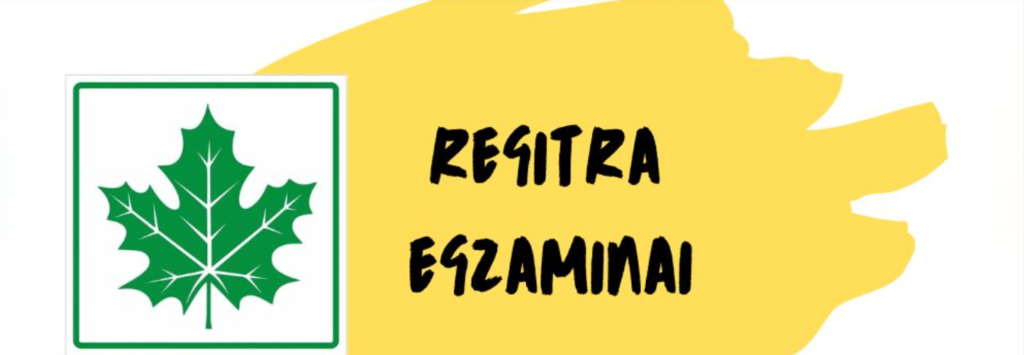 Diskusijos apie egzaminus Regitroje Facebook grupėje: REGITRA EGZAMINAI