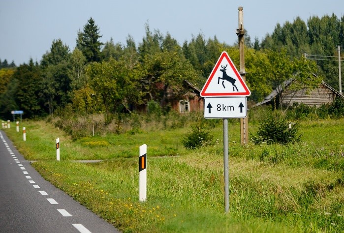 131 Laukiniai gyvūnai (Įspėja apie kelio ruožą, kuriame yra didelė tikimybė, kad per kelią gali judėti laukiniai gyvūnai)